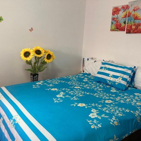 Cosy Hideaway Apartman Brassó Kültér fotó